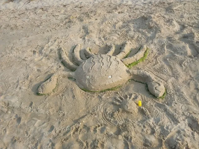 Rye Family Apartments