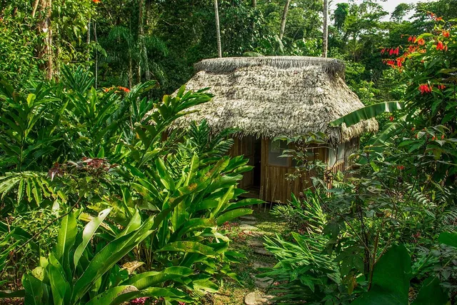 Yoi EcoLodge