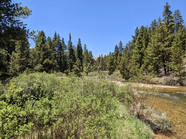 Halfmoon East Campground