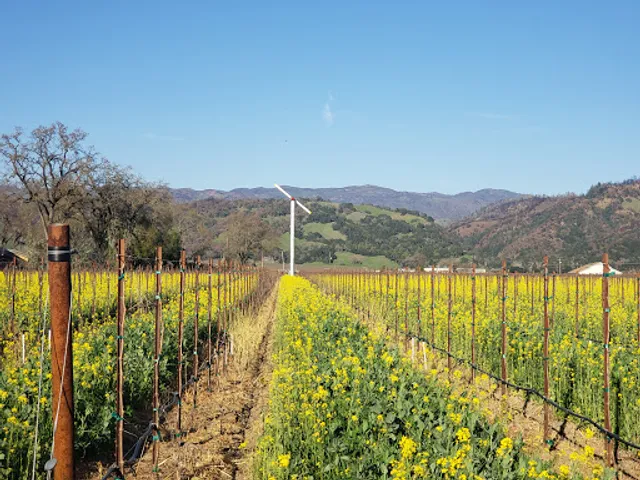 Alexander Valley AVA