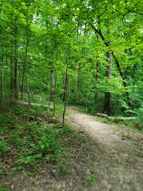 Campbellton Creek Nature Park