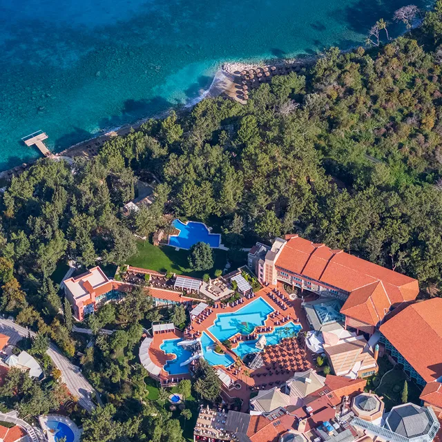 Liberty Lykia Adults Only