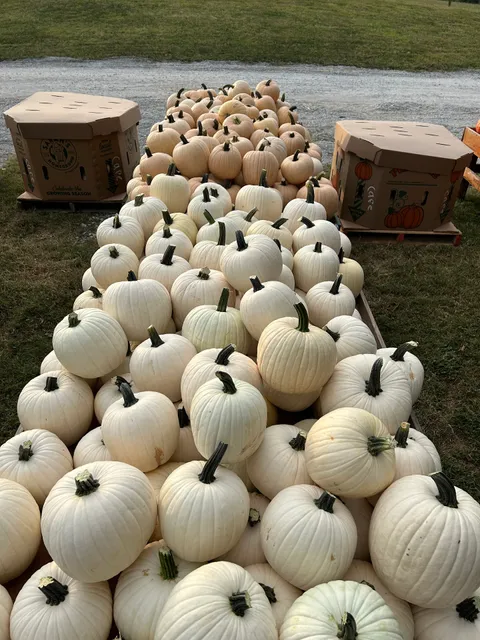 Walden Pumpkin Farm