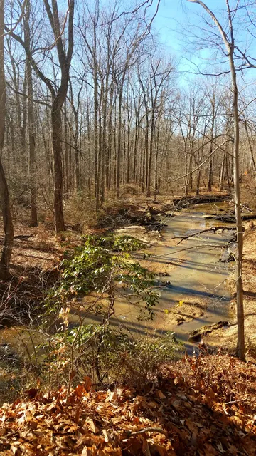 Pohick Creek Stream Valley Park