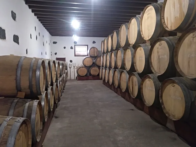 Winery Bermejos