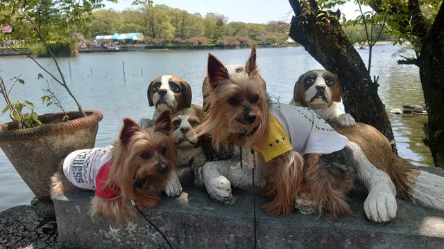 Nasu Rindouko Lake View Art Gallery