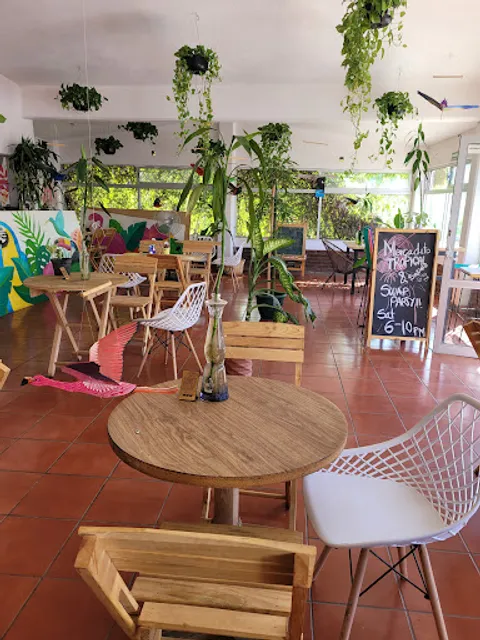 Tropical Kitchen Cabo