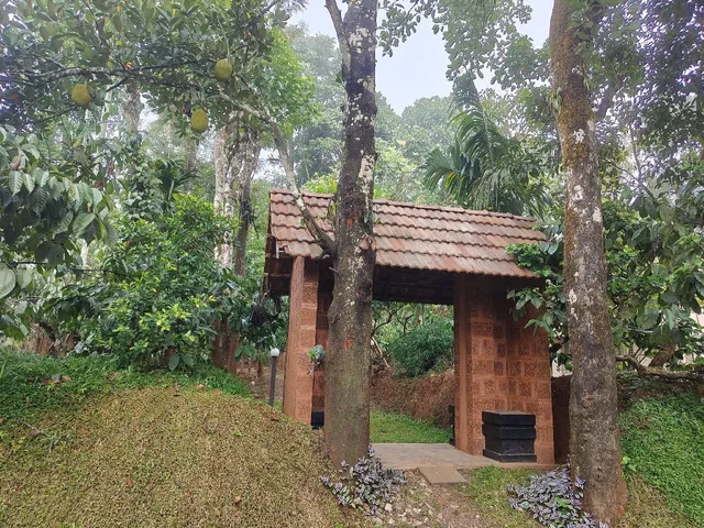 TREE HOUSE WAYANAD (Changaathi Green villa)