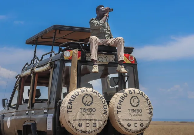 Tembo by Jackson Collection