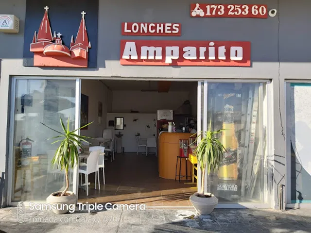 Lonches Amparito Aviación