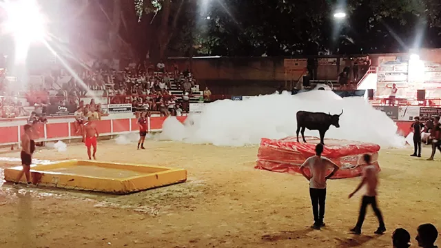 Arènes de Remoulins