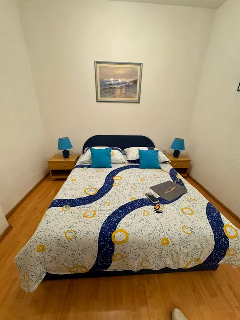 Apartments and Rooms Dis