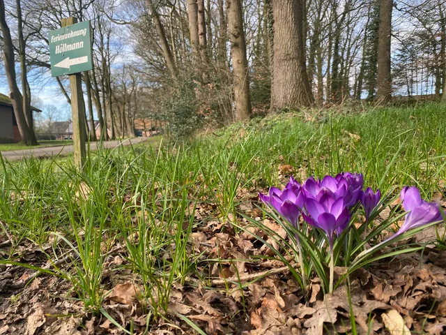 Ferienwohnung Höllmann