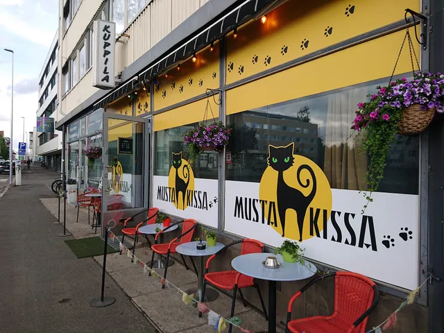 Musta Kissa Rovaniemi