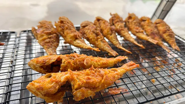 ครัวอัลมาร์ ณ ระนอง อาหารตามสั่ง ขนมจีน ข้าวแกงใต้