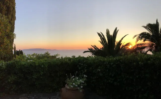 Olivastri di Cala Moresca