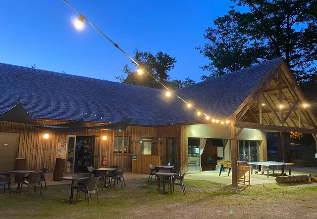 Municipal Camping In The Forest