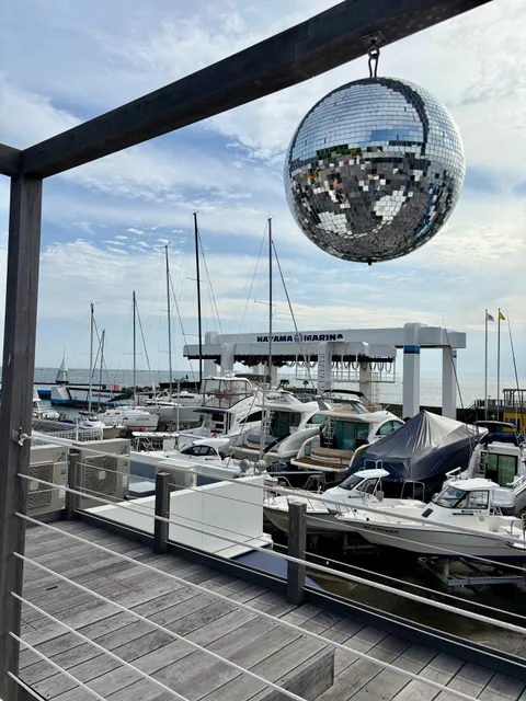 UNDER THE PALMO MARINA