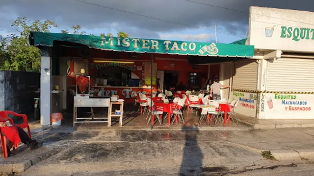 Mister Taco