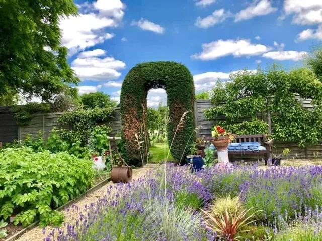 Peacock Farm The Paddock