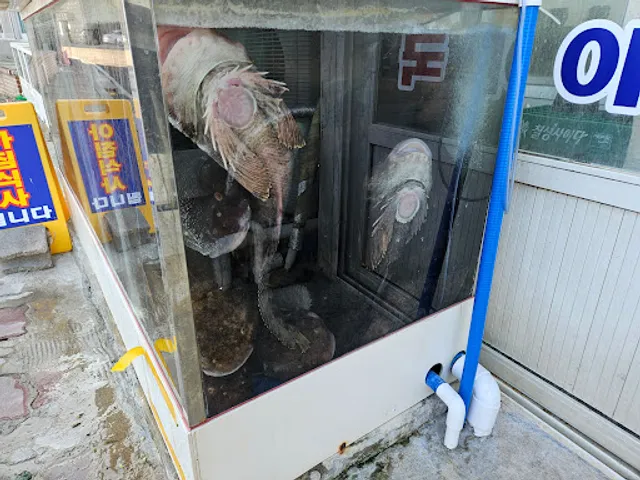 거북이횟집곰치국