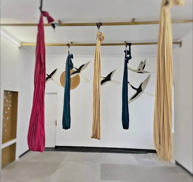 Konnection Studios - Bienêtre - Dance - Air - Pole