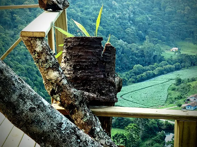 Fazenda Refúgio das Araucárias