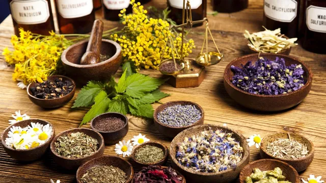 El Reco Cartagena. Herbolario