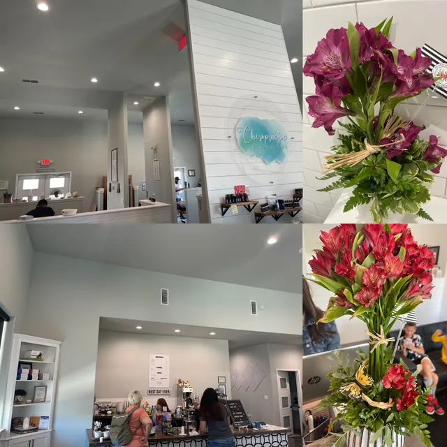 The Chiropractic Wellness Cafe