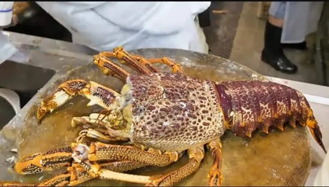 Hongxing Seafood Restaurant