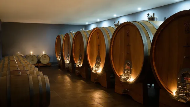 TERRA WYLAK WINERY s.r.o.