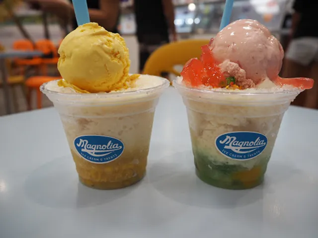 Magnolia Ice Cream & Treats