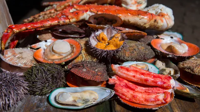 "Teriberskiy Beach" recreation center