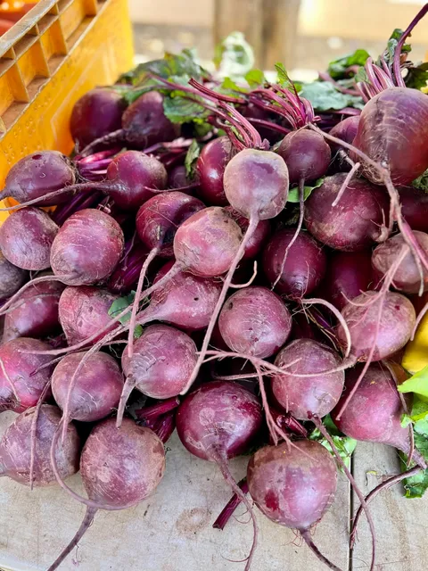 Meals In a HeartBeet