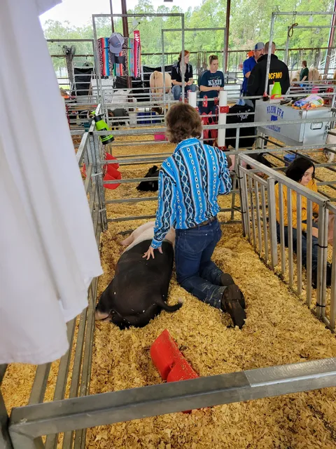 East Montgomery County Fair