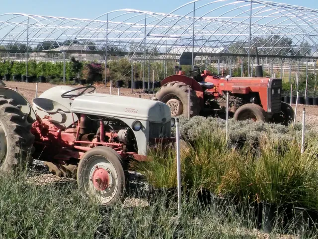 Howard Post Fine Art