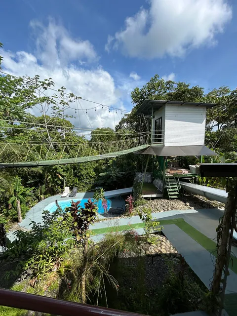 Tarzan Jungle Home