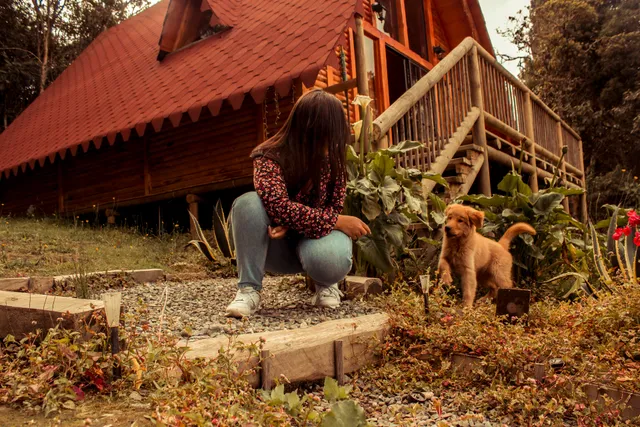 BRUMA BLANCA CHALETS