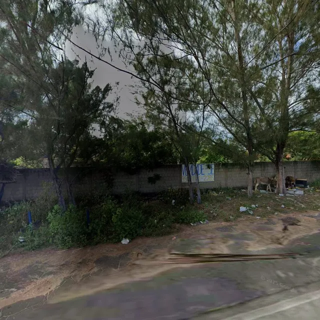 Pousada Cisne Branco