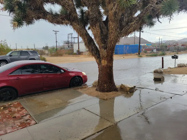 Veterans of Foreign Wars, Post 7264