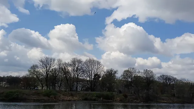 Four Mile Run Wetlands Trail