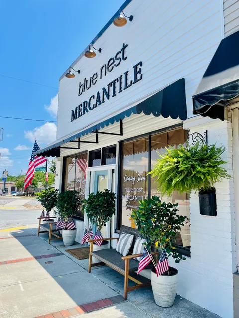 Blue Nest Mercantile & Interior Design