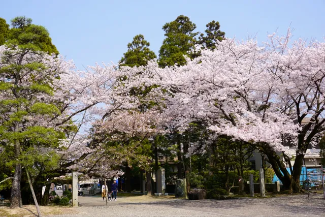 Ko-onji Temple, Temple No. 61