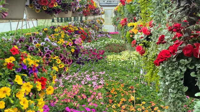 Schairer's Autumn Acres & Greenhouse LLC