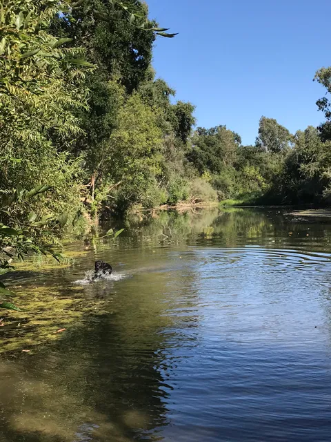 Putah Creek