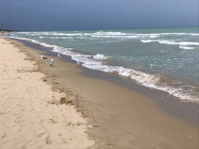 Residence & Apartments Cerrano Service