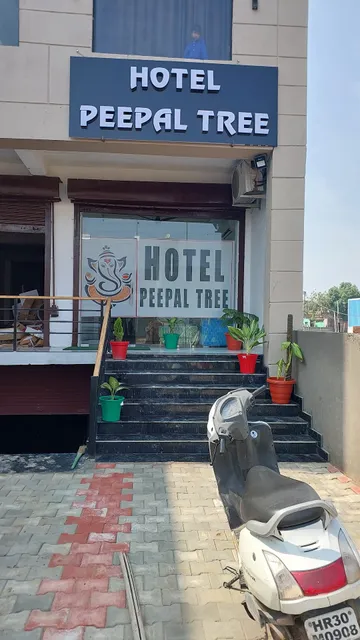 Hotel peepal tree