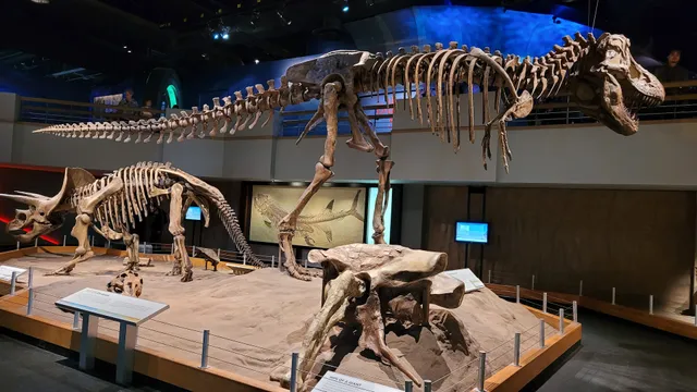 Royal Tyrrell Museum Lookout