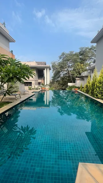 El Reino by The Blue Kite