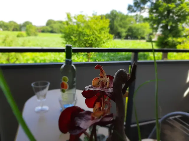 Ferienwohnungen Schlingshöhe, Übernachten mit Ausblick